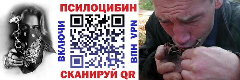 даркнет сайт  Южно-Сахалинск  Псилоцибиновые грибы Psilocybe 